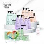 ماسک مو نیچ هیدرا بالانس مورفوس مخصوص موی خشک Morfose Masque niche hydra balance حجم 500 میل