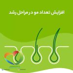 تقویت کننده مو پریورین برند بایر آلمانی اصل (Priorin Kapseln) حاوی 30 عدد